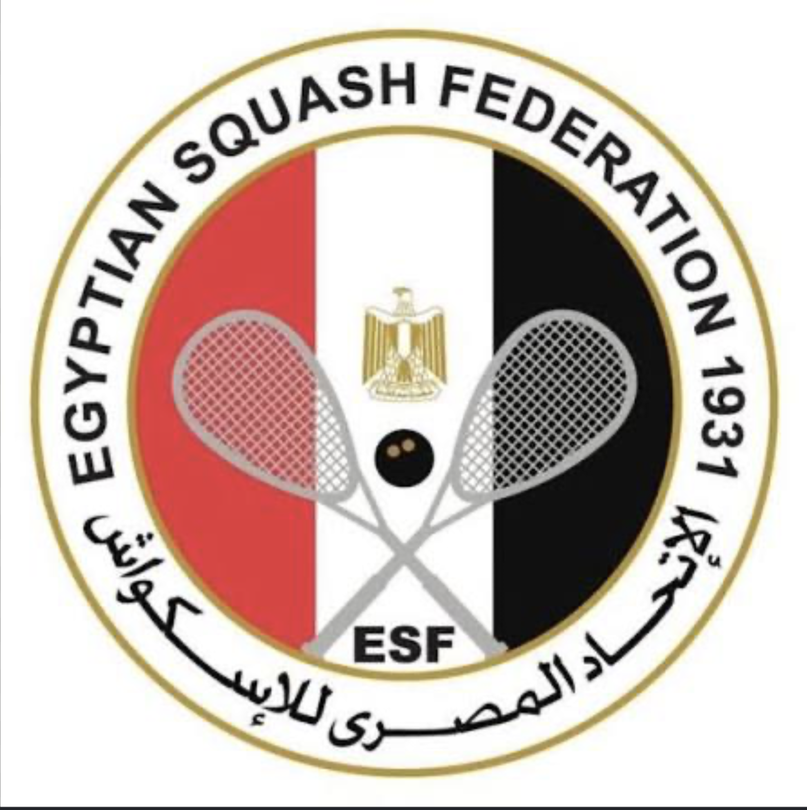 Egyptian Squash Federation logo
